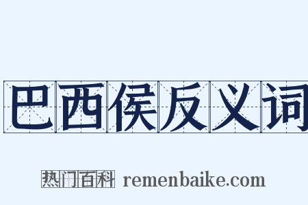 巴西侯反义词是什么意思的图片